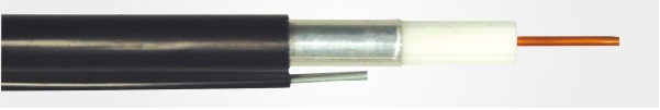 16552772792930.png Trunk 500M.png