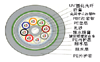 16550125309233.png